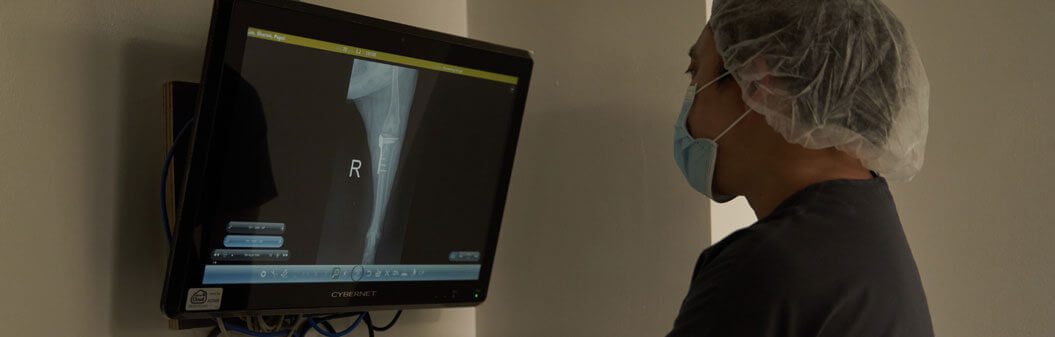Pet Orthopaedic Surgery