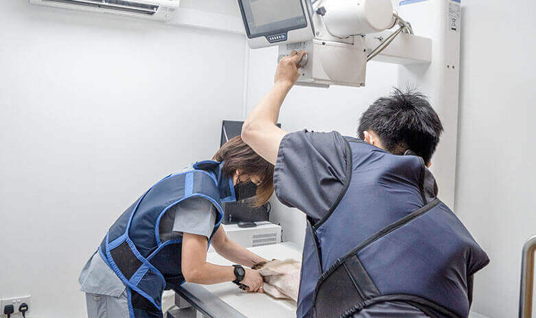 Veterinary staff positioning a dog for an X-ray in a clinic.