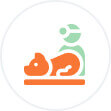 Icon of a sleeping cat curled up