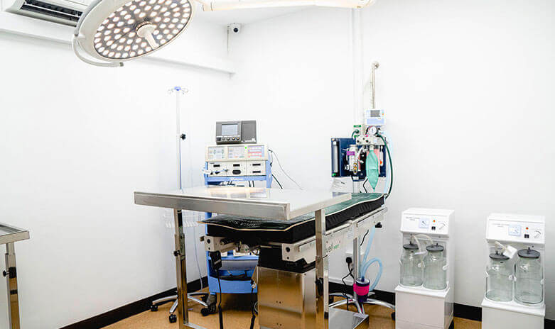 A clean veterinary exam room with a metal exam table and medical equipment nearby.