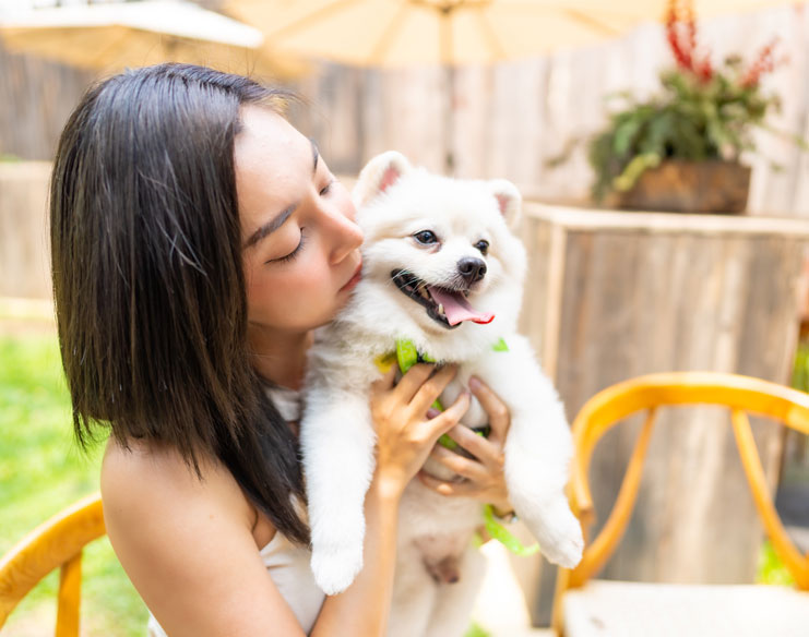 Pet Care Guide